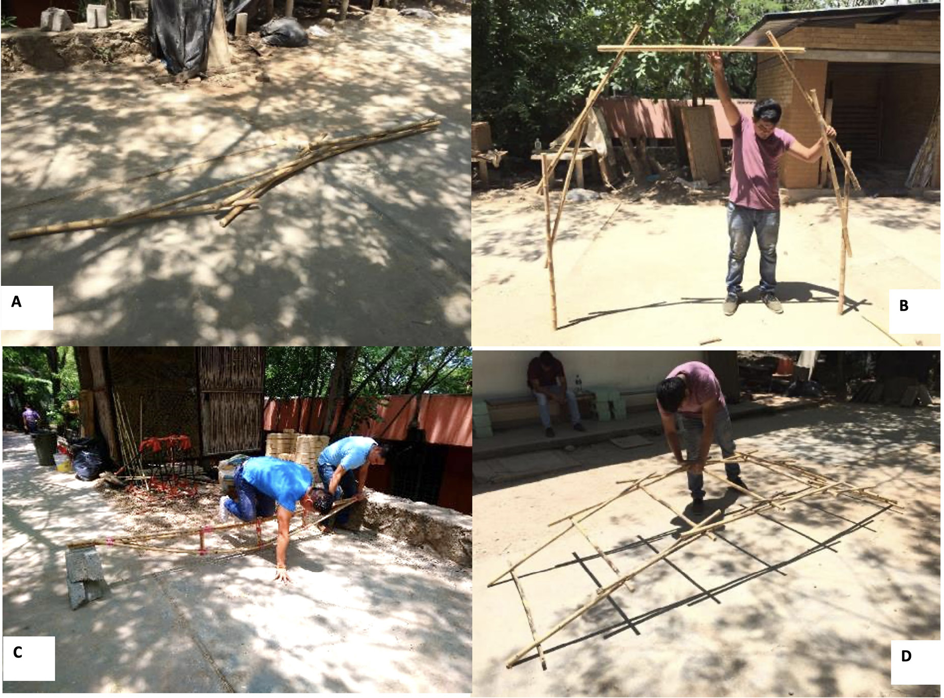 Prefabricaci�n de elementos constructivos a base de Otatea fimbriata. A) y B) Estructura plegable para la generaci�n de espacios de resguardo, de f�cil manipulaci�n y montaje.C) Viga compuesta. D) Puente autoportante.