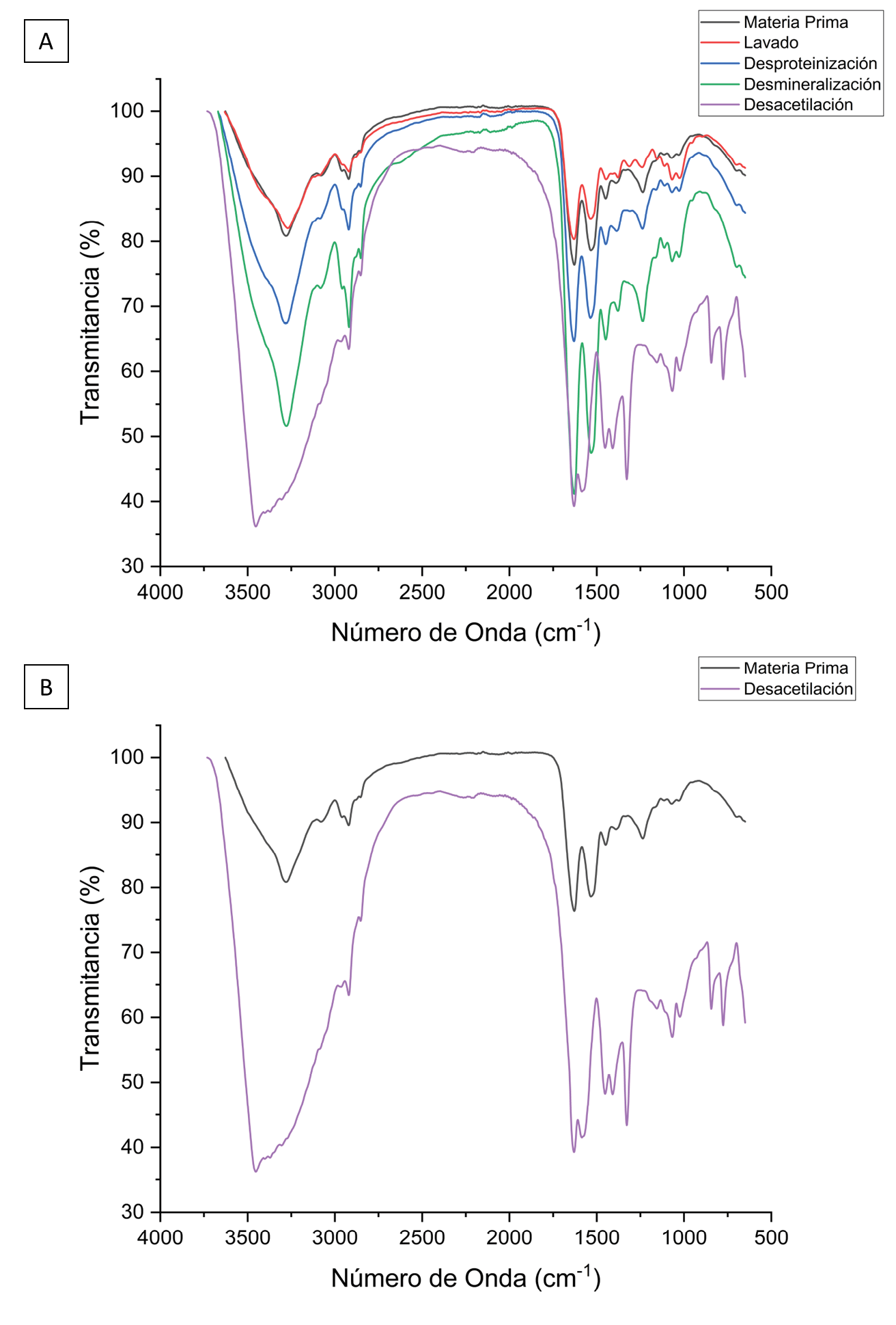 Espectroscopa infrarroja por transformada de Fourier FTIR de A las diferentes etapas del proceso de sntesis de quitosano a partir de mudas de larva de T molitor y B comparacin nicamente entre los espectros de la materia prima utilizada y el producto final obtenido