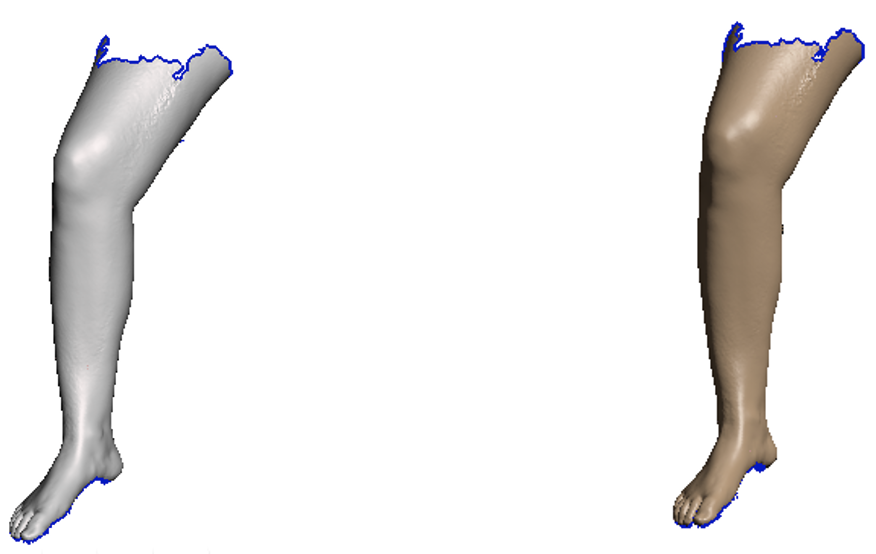 Modelo 3D de la pierna para disear el prototipo de ortesis del tobillo 2