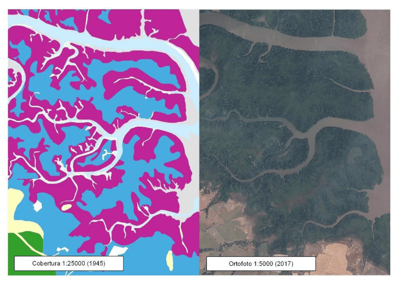 Inconsistencia en la clasificaci�n del manglar en la hoja cartogr�fica Mansi�n escala 125 000