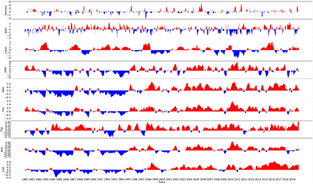 Monthly time-series of TC genesis anomalies and the NAO, ENSO, AMM, AMO, TNA, TSA, NTA, and CAR climatic indices from 1980 to 2019.