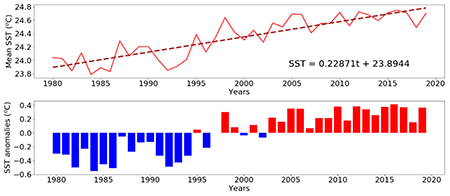 Mean SST time-series (solid red line) and linear statistically significant trend in annual mean SST (p < 0.05). In the linear equation, t represents the number of years since 1980 (top) and annually SST anomalies (bottom).