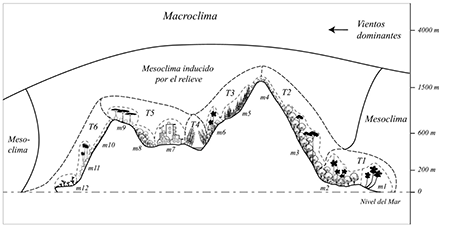 División climática por escalas espaciales: microclimas (m), escala local/topoclimas (T), mesoclima (M) y macroclimas para el análisis de las montañas. Diseño de los autores en un transepto del macizo Nipe-Sagua-Baracoa, basado en Yoshino (1975).