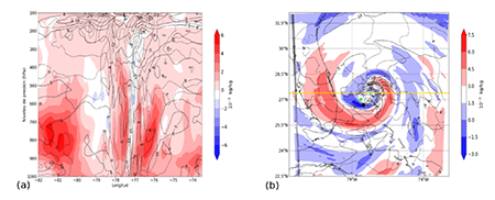 (a) diferencia (NTHFVR-NTHFNVR) en la vertical de humedad espec&iacute;fica (color) y velocidad del viento en m/s (contorno), y (b) diferencia (NTHFVR-NTHFNVR) horizontal entre los campos de humedad espec&iacute;fica en 850 hPa para las 12 horas de pron&oacute;stico a partir de la inicializaci&oacute;n del 2 de septiembre de 2019 a las 0000 UTC. El tri&aacute;ngulo azul, el c&iacute;rculo verde y el cuadrado negro representan la posici&oacute;n del centro del sistema para los experimentos NTHFVR y NTHFNVR y la best track respectivamente.