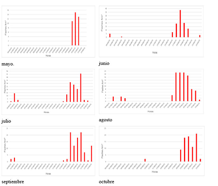 Comportamiento de la densidad de descargas eléctricas por horas, para cada mes del año 2022.