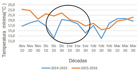 Comportamiento de la temperatura mínima durante las campañas bajo la fase cálida del evento ENOS