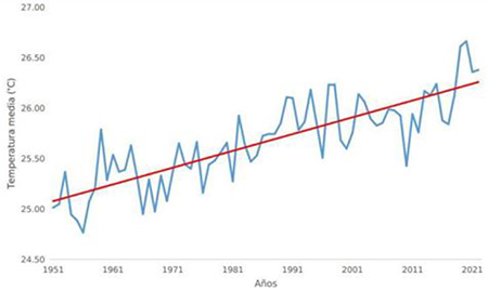 Temperatura media anual en Cuba durante el per&iacute;odo 1951-2022. La l&iacute;nea roja representa la tendencia lineal. 