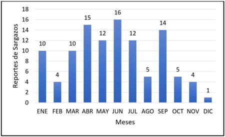 Distribucin mensual del arribo de sargazos en el perodo jul 2021 - jun 2023