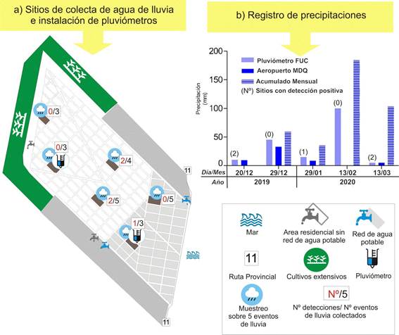 Ubicaci�n de los sitios de toma de muestra de agua de lluvia, instalaci�n de pluvi�metros y resultados de los an�lisis en el barrio FUC, Partido de General Pueyrred�n, Provincia de Buenos Aires. Nota: la etiqueta &ldquo;2/4&rdquo; en la Figura 3.a) indica que se realizaron 2 detecciones positivas en 4 eventos de lluvia para ese sitio, mientras que la etiqueta &ldquo;(2)&rdquo; en diagrama de barras de la Figura 3.b) indica que en 2 sitios se realizaron detecciones positivas para dicho evento de lluvia (casos 20/12/19 y 13/03/20)[2]
