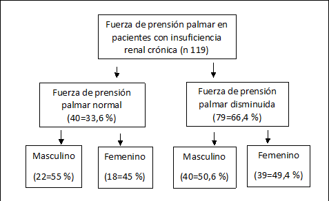 Fuerza muscular en pacientes con insuficiencia renal crónica (n=119).
