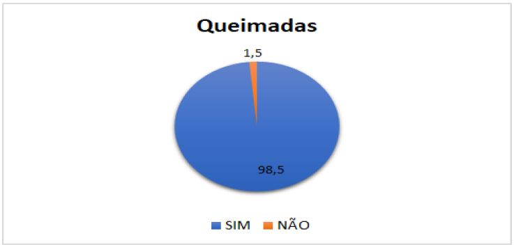 Taxa de queimada da vegetao pelos agricultores para a prtica da actividade agrcola na serra do Pingano.