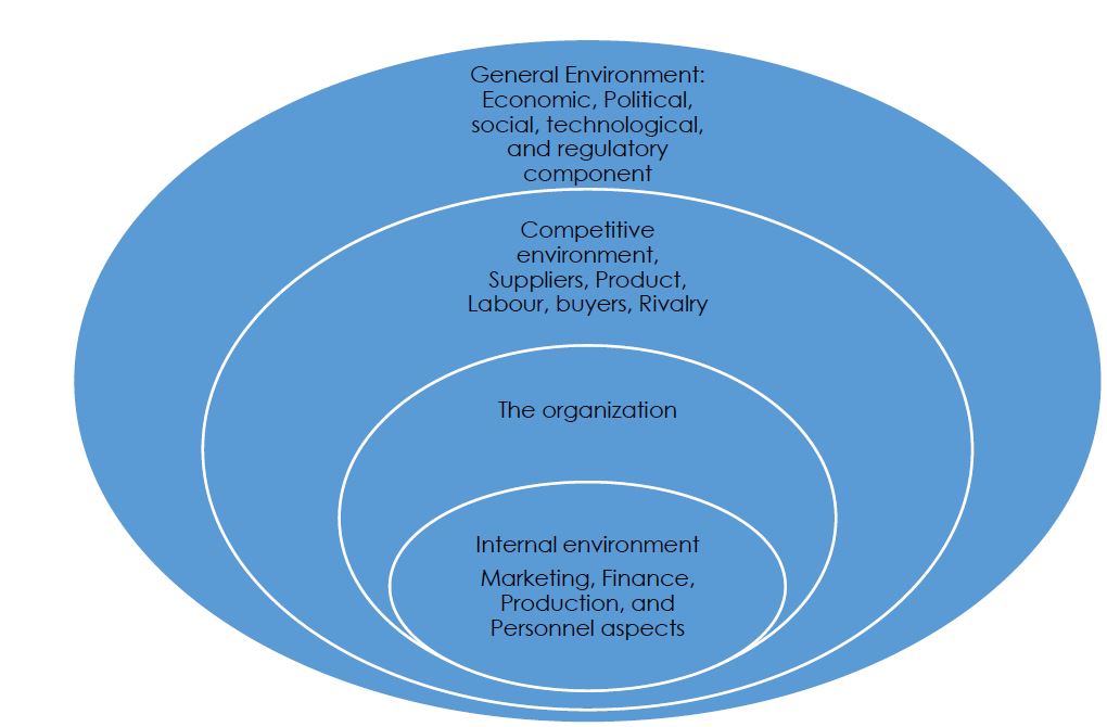 The organization and its environment Source Dobson 2006 p 19
