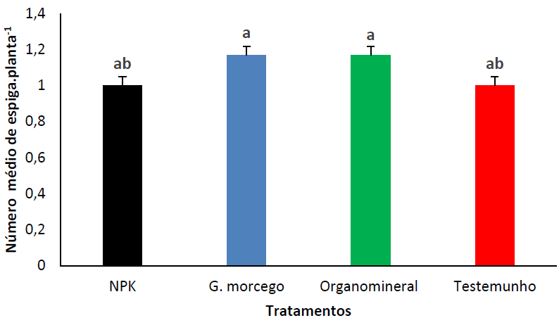 N�mero m�dio de espiga por planta, em fun��o da aplica��o de fertilizantes org�nicos, minerais e organominerais. NPK: adubo mineral (12-24-12); G. morcego: adubo org�nico (guano de morcego); O. mineral: adubo organomineral (NPK + guano de morcego); Testemunho (plantas isentas de aduba��o). As barras de erro representam o erro padr�o. Barras com letras iguais n�o apresentam diferen�as significativas no teste de Duncan (P> 0.05).