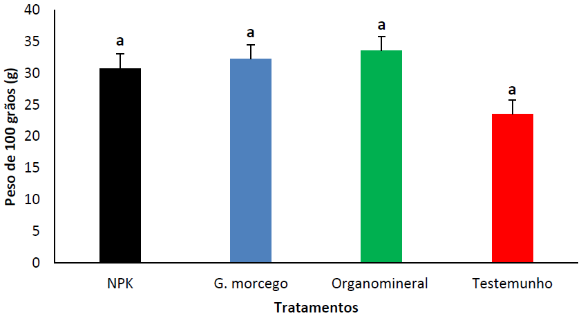Peso de 100 gr�os, em fun��o da aplica��o de fertilizantes org�nicos, minerais eorganominerais. NPK: adubo mineral (12-24-12); G. morcego: adubo org�nico (guano de morcego); Organomineral: adubo organomineral (NPK + guano de morcego); Testemunho (plantas isentas de aduba��o). As barras de erro representam o erro padr�o. Barras com letras iguais n�o apresentam diferen�as significativas no teste de Duncan (P> 0.05).