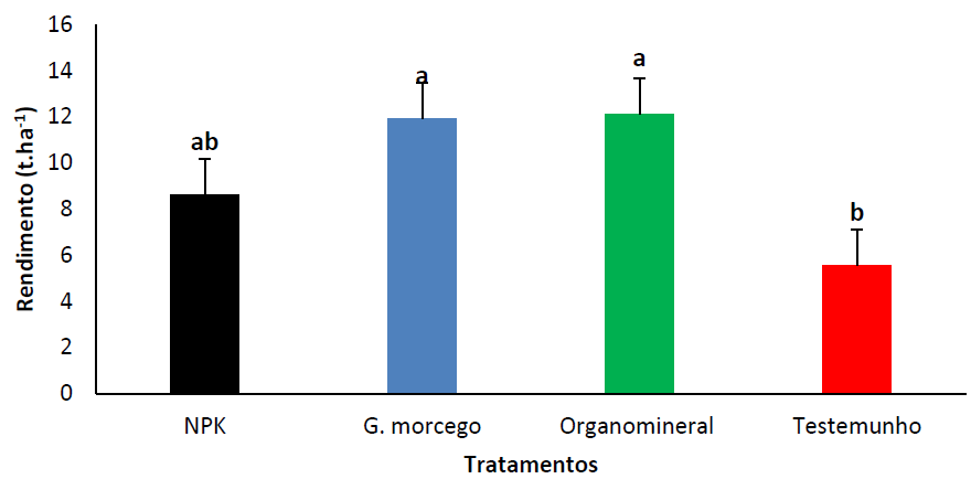 Rendimento (t.ha-1), em fun��o da aplica��o de fertilizantes org�nicos, minerais. NPK: adubo mineral (12-24-12); G. morcego: adubo org�nico (guano de morcego); Organomineral: adubo organomineral (NPK + guano de morcego); Testemunho (plantas isentas de aduba��o). As barras de erro representam o erro padr�o. Barras com letras iguais n�o apresentam diferen�as significativas no teste de Duncan (P> 0.05).