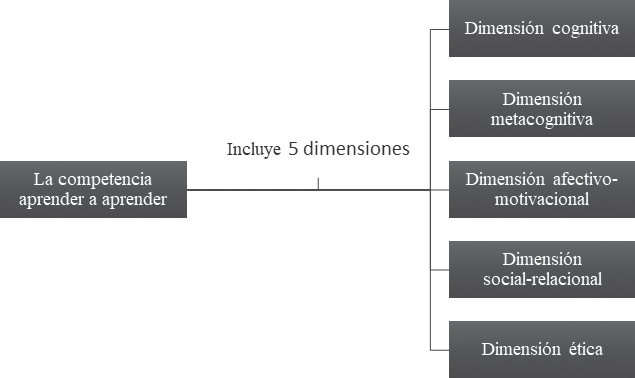 Dimensiones de la competencia AaA