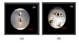 Im&aacute;genes (secci&oacute;n transversal) a un aumento de 10X de las muestras de acero inoxidable d&uacute;plex SAF 2304 sometido a 50&deg;C.