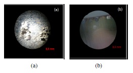  Im&aacute;genes (secci&oacute;n longitudinal) a un aumento de 10X de las muestras de acero inoxidable
d&uacute;plex SAF 2304 sometido a 50 &deg;C.