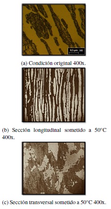 Microscopia &oacute;ptica acero d&uacute;plex SAF
2304.