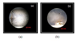 Im&aacute;genes macro (secci&oacute;n transversal) a un aumento de 10X de las muestras de acero inoxidable
d&uacute;plex SAF 2304 sometido a 50 &deg;C.