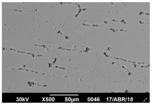 Micrografía de muestra A evaluada mediante secundary electron image (500x).