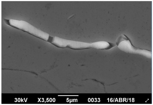 Micrografía de muestra B evaluada mediante back scattered electron (3500x).