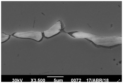 Micrografía de muestra C evaluada mediante back scattered electron (3500x).