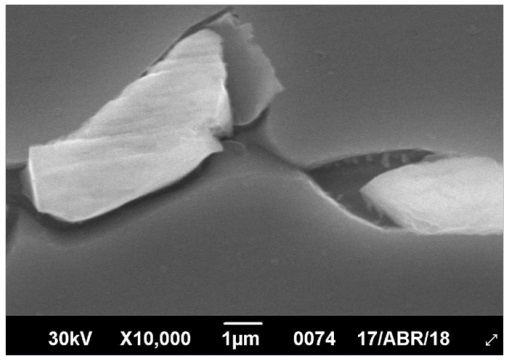 Micrografía de muestra
C evaluada mediante back scattered electron (10000x)
