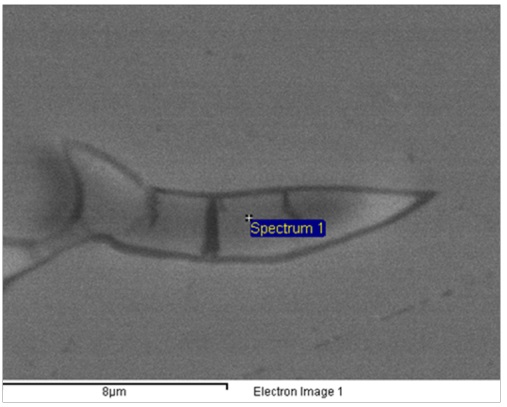 Zona clara de la partícula en muestra D,
evaluada mediante espectrometría de dispersión de energía de rayos X.