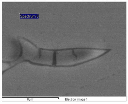 Matriz en muestra D evaluada mediante espectrometría de dispersión de
energía de rayos X