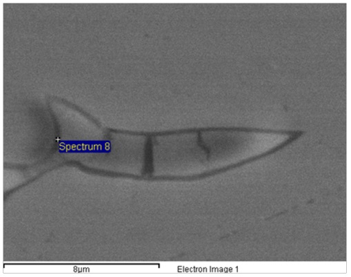 Zona Oscura en muestra D evaluada mediante espectrometría de dispersión de energía de rayos X