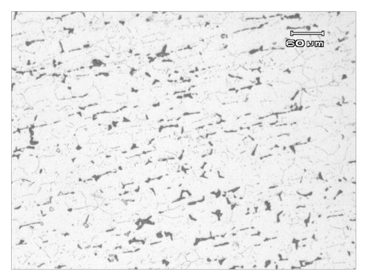 Micrografía muestra A (100x).