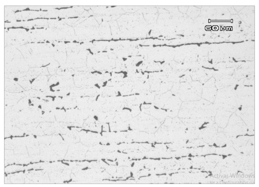 Micrografía muestra C (100x).