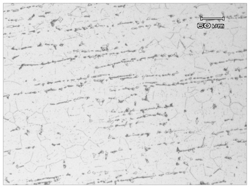 Micrografía muestra D
(100x).