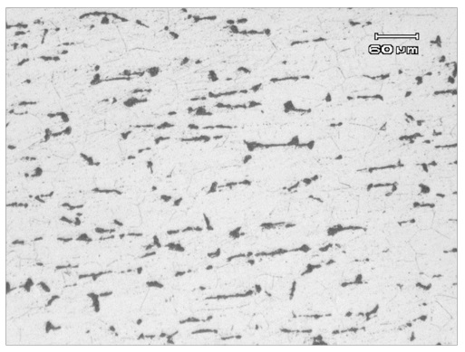 Micrografía muestra E (100x).