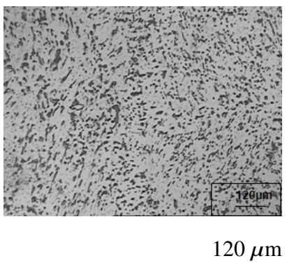 Micrografía al SS 304 H en el punto A de la Figura 2. Ataque con 10 % ácido oxálico. Porcentaje de sigma en 21,3 %.