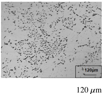 Micrografía al SS 304 H en el punto B de la Figura 2. Ataque con 10 % ácido oxálico. Porcentaje de sigma en 11,17 %. 

 