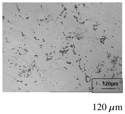 Micrografía al SS 304 H en el punto C de la Figura 2. Ataque con 10 % ácido oxálico. Porcentaje de sigma en 4,3 %. 

 