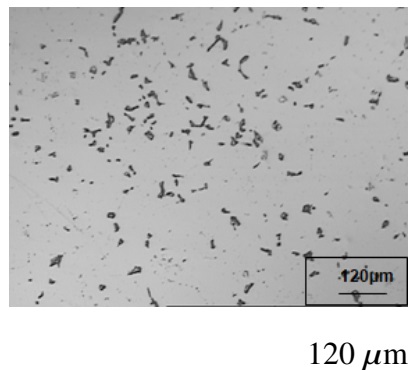 Micrografía al SS 304 H en el punto D de la Figura 2. Ataque con 10 % ácido oxálico. Porcentaje de sigma en 3,98 %.