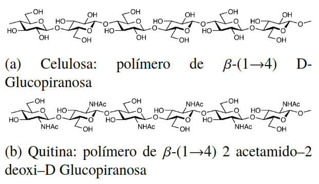 Estructuras Químicas [7]