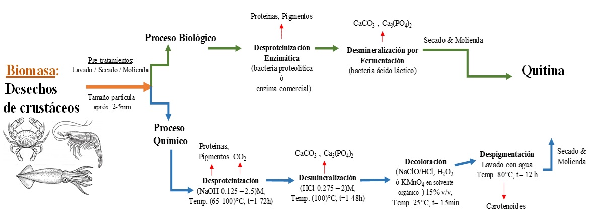 Procesos de extracción de Quitina [23]