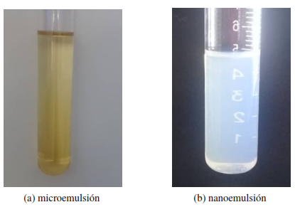 Imagen de una microemulsi�n y una nanoemulsi�n, ambas constituidas por un surfactante no i�nico, cosurfactantes, agua y aceite mineral, formuladas para uso cosm�tico