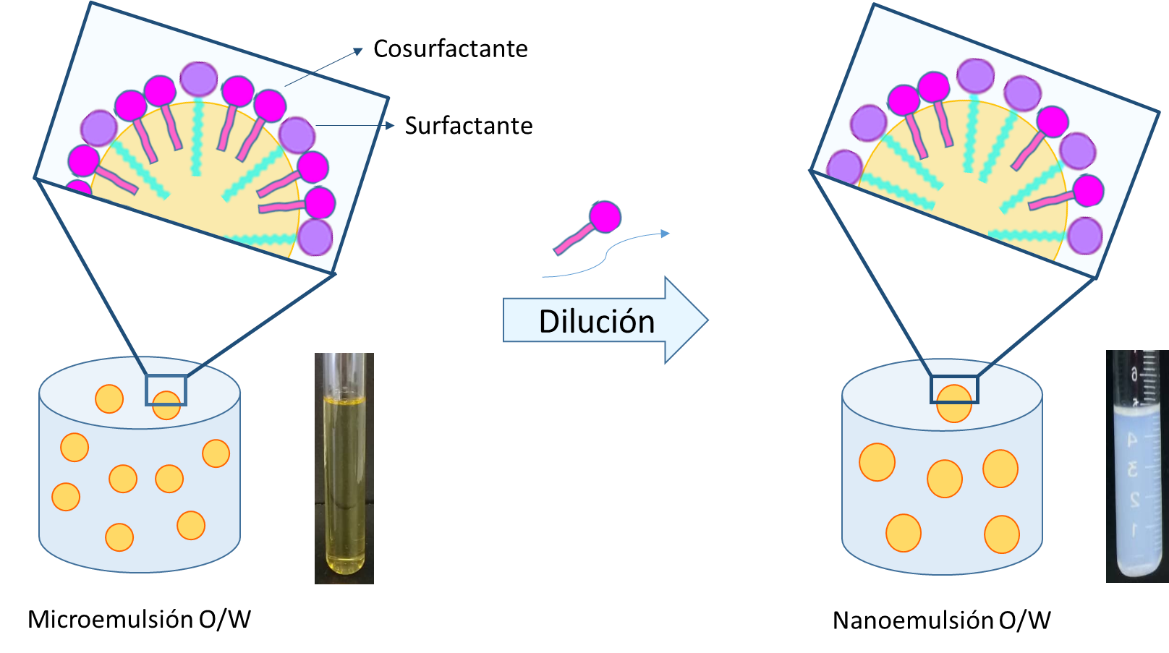 Representaci�n esquem�tica del mecanismo propuesto para la autoemulsionaci�n por diluci�n de una microemulsi�n O/W: por diluci�n con agua, el cosurfactante difunde de la interfase aceite / agua a la fase acuosa. Modificado de [10]