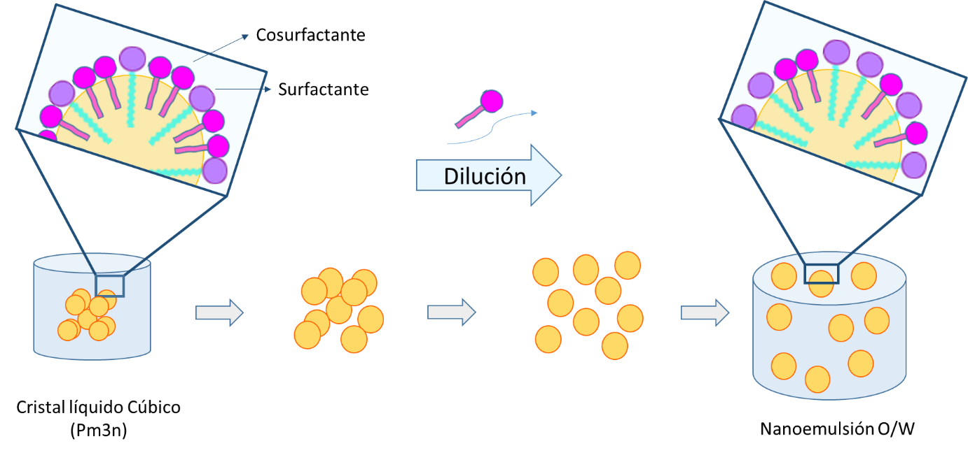 Representaci�n esquem�tica del mecanismo propuesto para la formaci�n de nanoemulsiones O/W por diluci�n directa a partir de una fase cristalina l�quida c�bica con estructura Pm3n, en sistemas mixtos de tensioactivos no i�nicos / i�nicos. Modificado de [10]