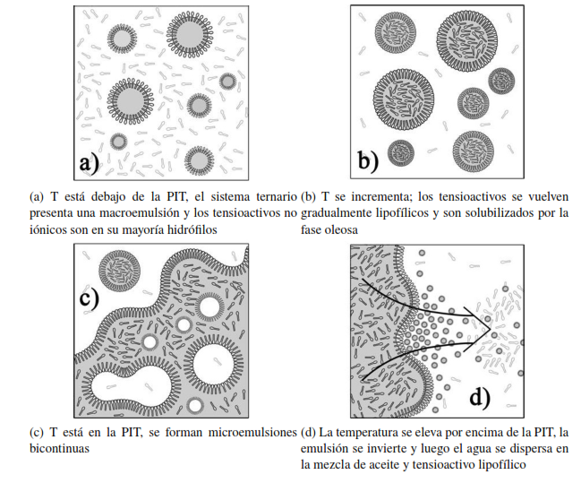 Diagrama del mecanismo de generaci�n de nanoemulsiones utilizando el m�todo PIT. El sistema agua / tensioactivo no i�nico / aceite sufre una inversi�n de fase [50]