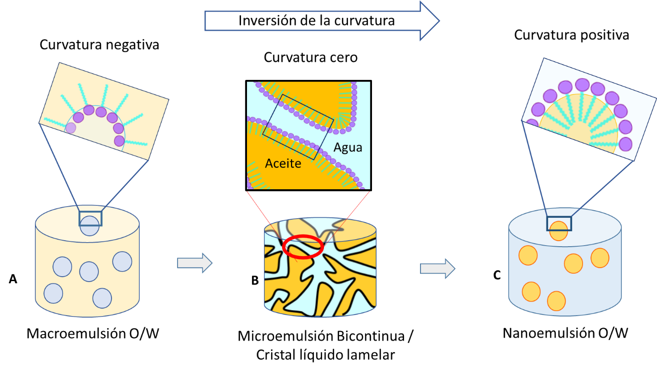 Representaci�n esquem�tica de la formaci�n de nanoemulsiones por el m�todo PIC [10]