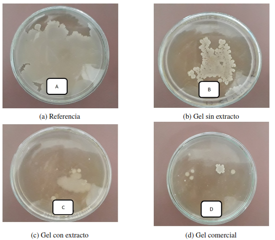 Crecimiento de microorganismos en placa antes y despu�s de aplicar el gel