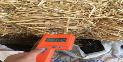 Ensayo de contenido de humedad