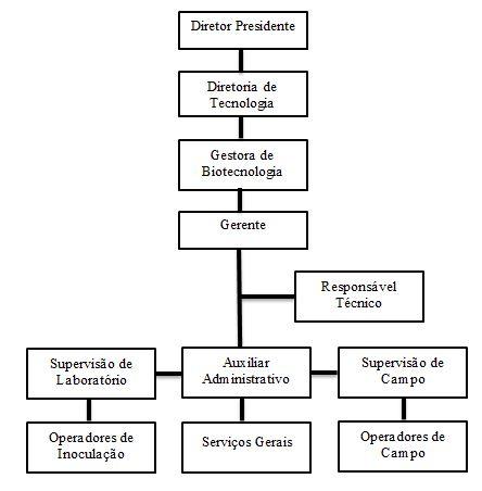 Estrutura Organizacional da BioMudaSe Fonte Elaborado pelos autores baseado no Modelo de Gest�o da BioMudaSe 2017