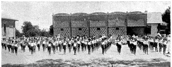 Hora de gimnasia sueca en el Preventorio de Tuberculosos de Guadarrama.